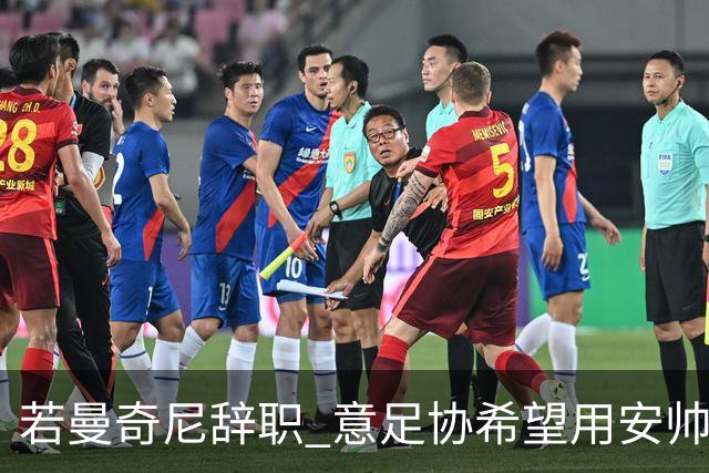 若曼奇尼辞职 意足协希望用安帅或卡纳瓦罗替代